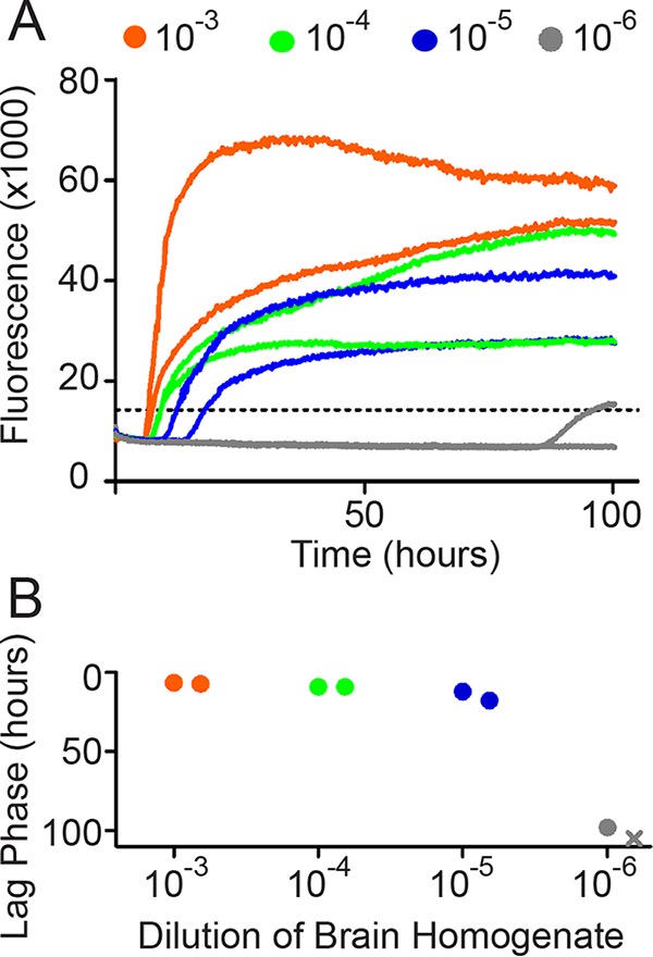 FIG 1