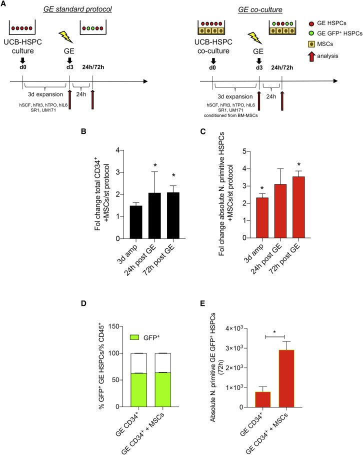 Figure 2