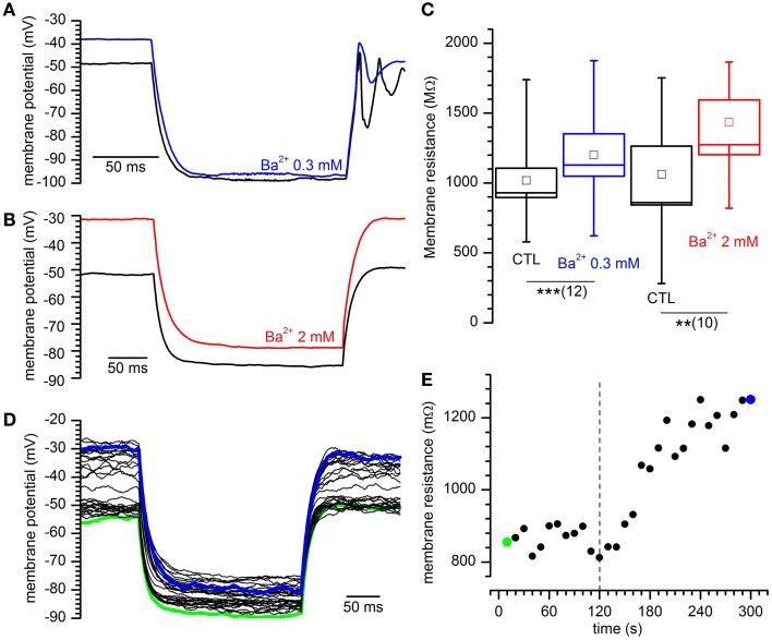 Figure 5