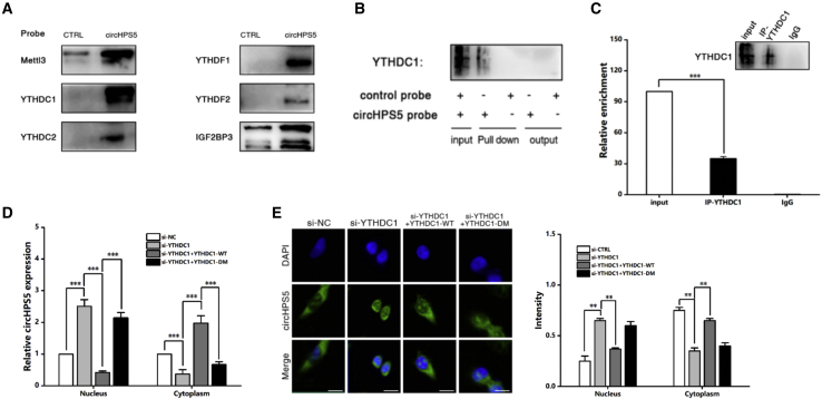 Figure 6