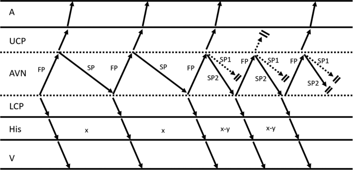 Figure 3