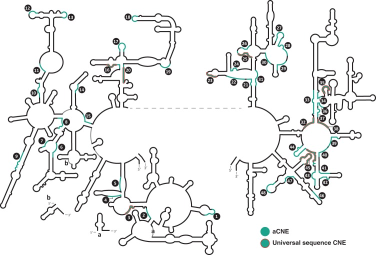 FIGURE 2.