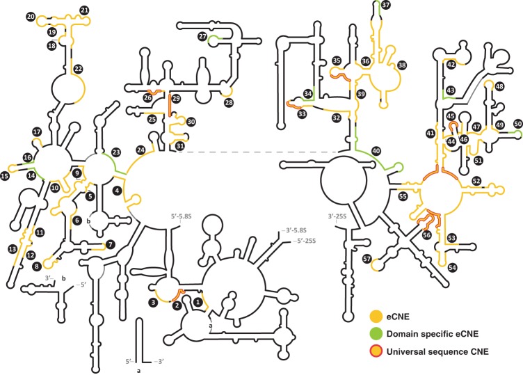 FIGURE 1.