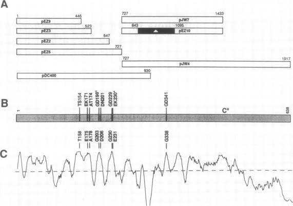 graphic file with name pnas01089-0487-a.jpg