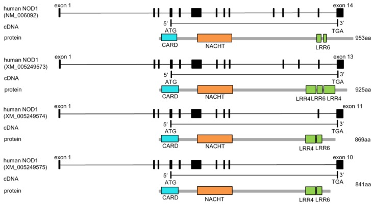 Figure 1