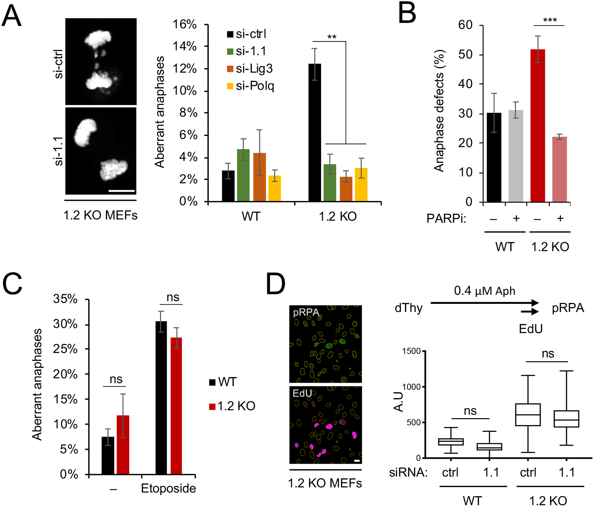 Figure 4: