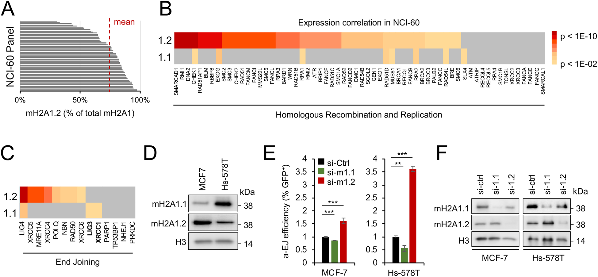 Figure 5: