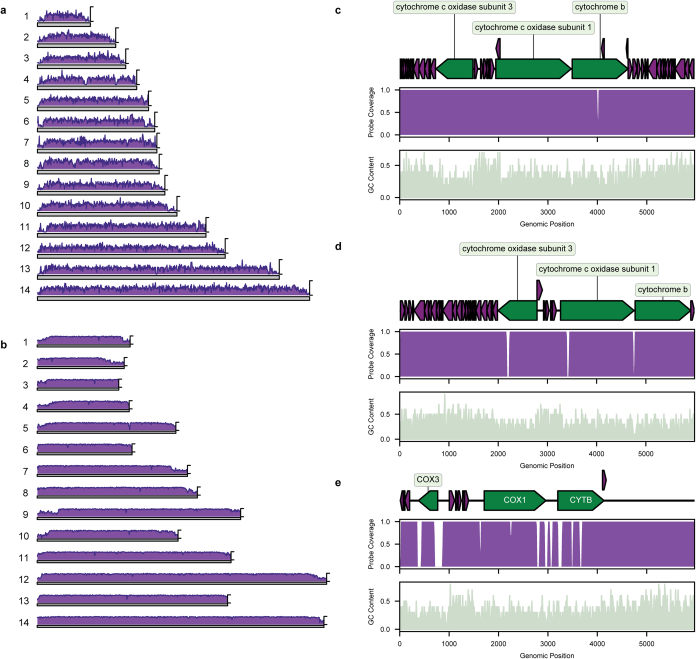 Extended Data Fig. 7