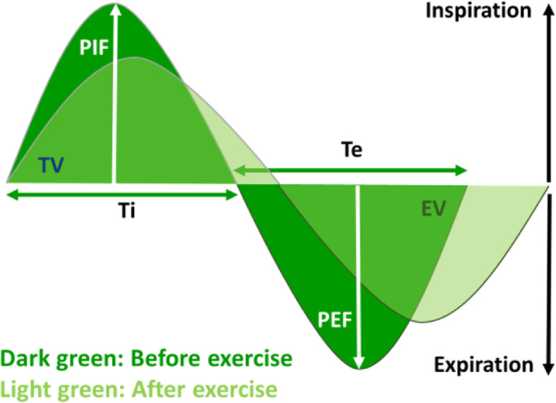 Fig. 8