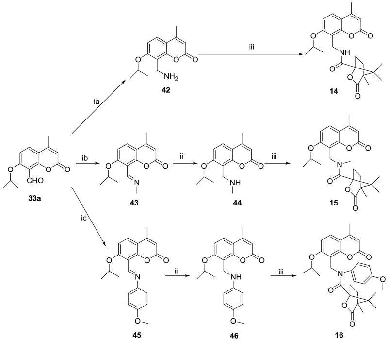 Scheme 5