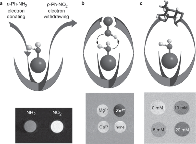 Fig. 6