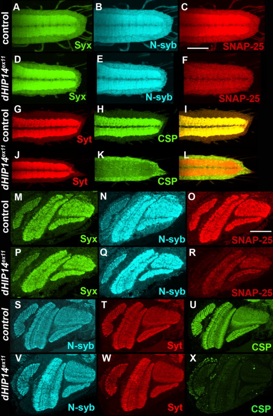 Figure 6.