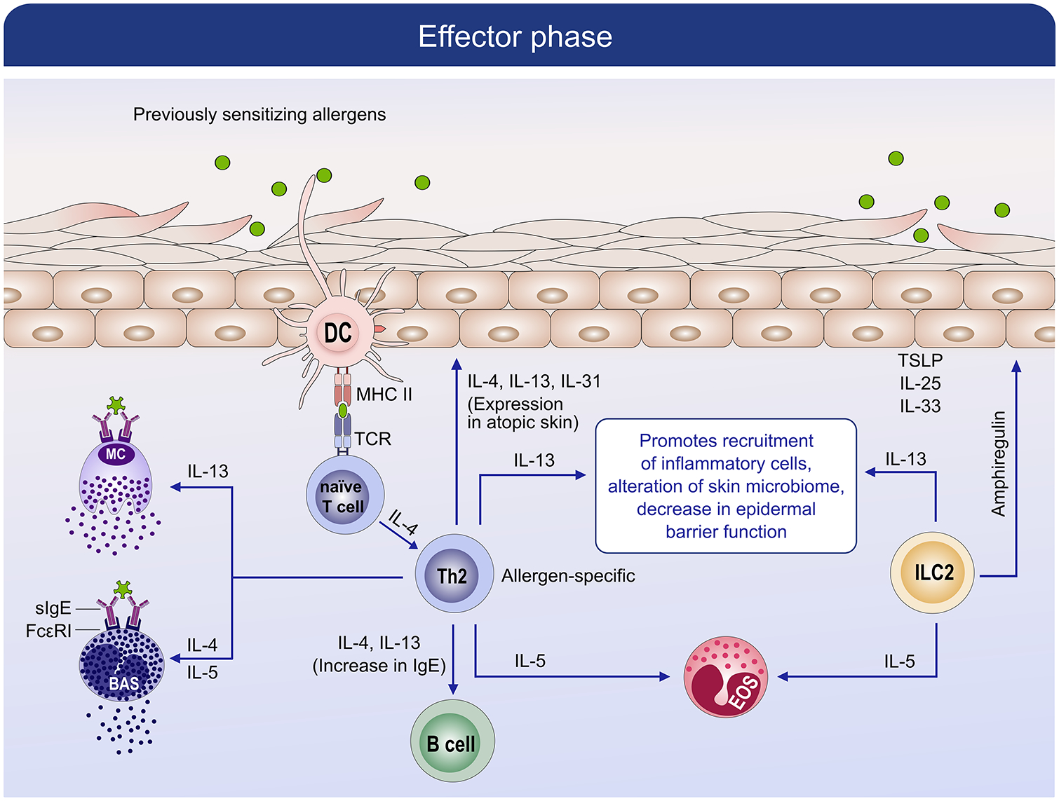 Figure 5: