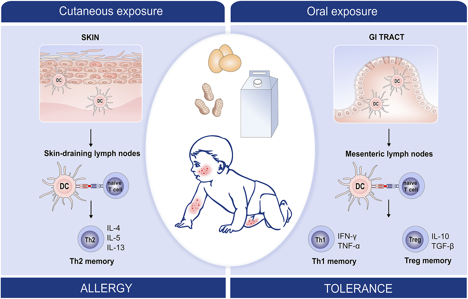 Figure 3: