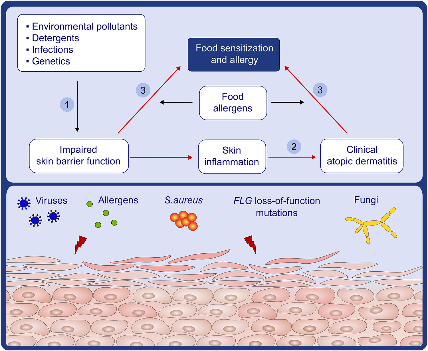 Figure 2: