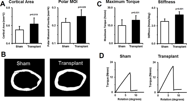 Figure 3: