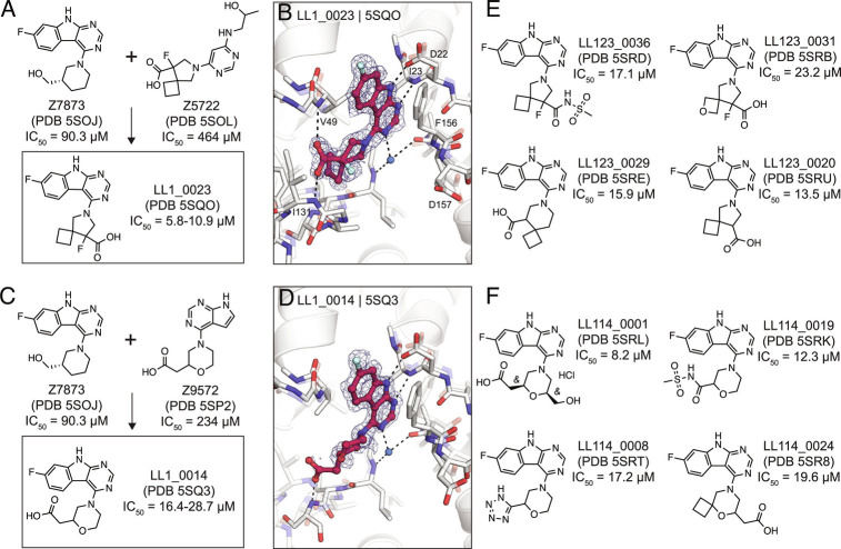 Fig. 7.