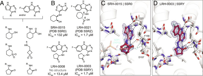 Fig. 8.