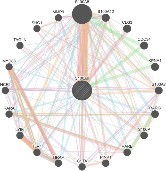 Figure 12