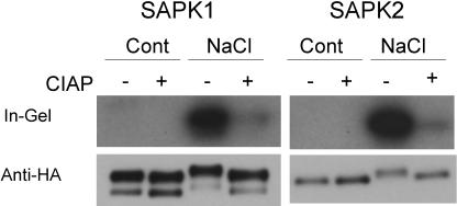 Figure 10.