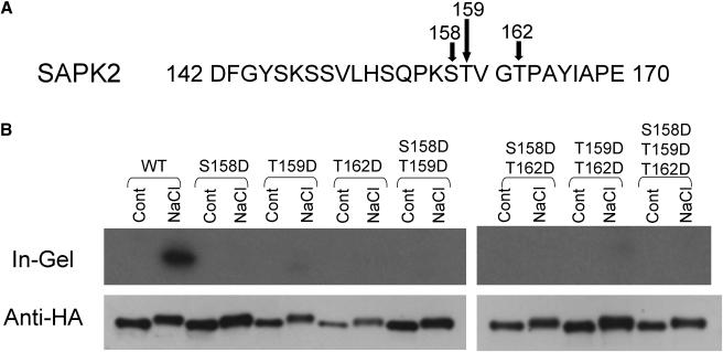 Figure 11.