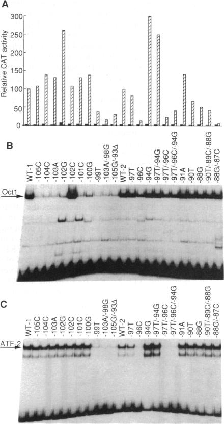 graphic file with name pnas01080-0163-b.jpg