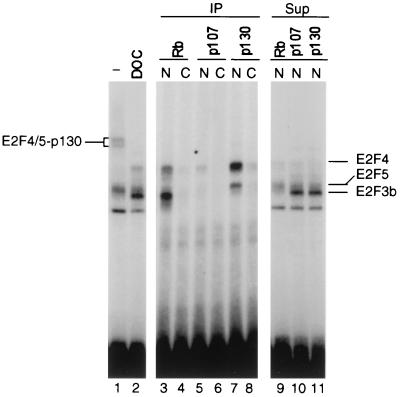 FIG. 5