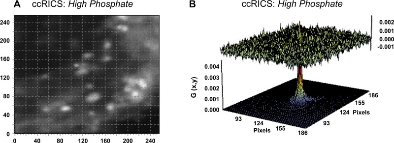 Fig. 9.