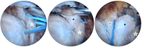 Fig 8