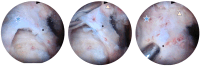 Fig 5