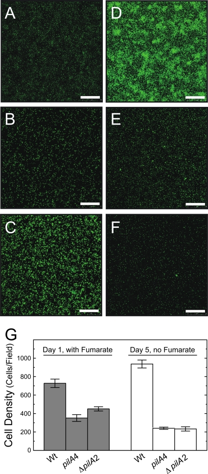 Fig 6