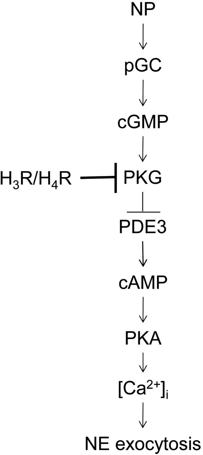 Fig. 8.