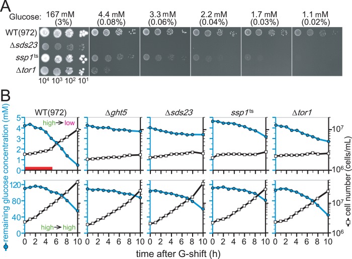 FIGURE 3: