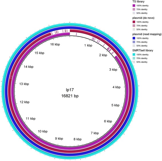 Fig. 3