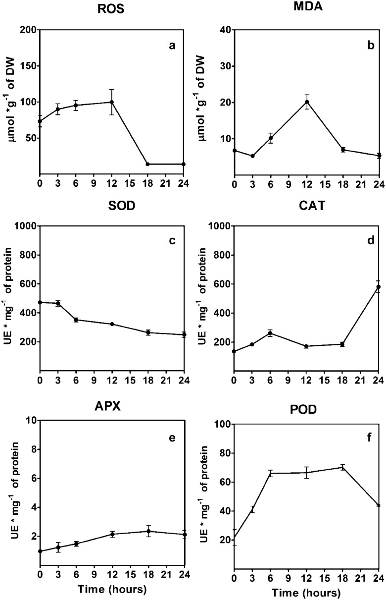 Fig. 4