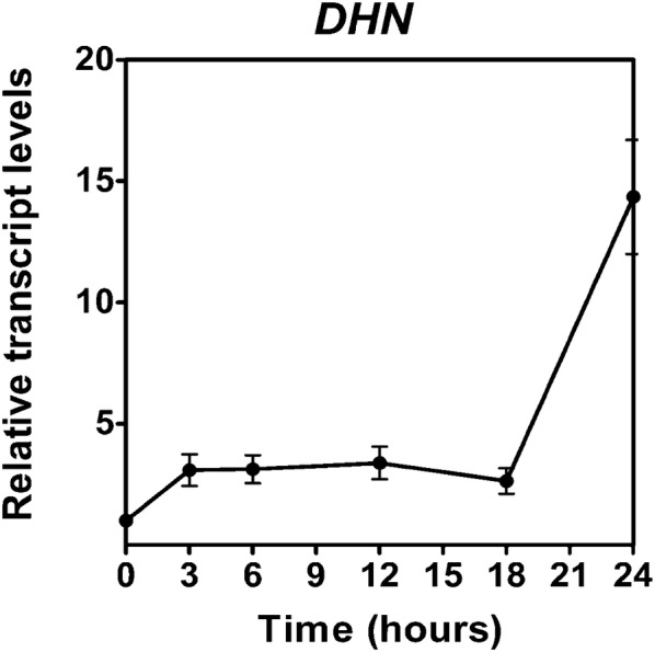 Fig. 6