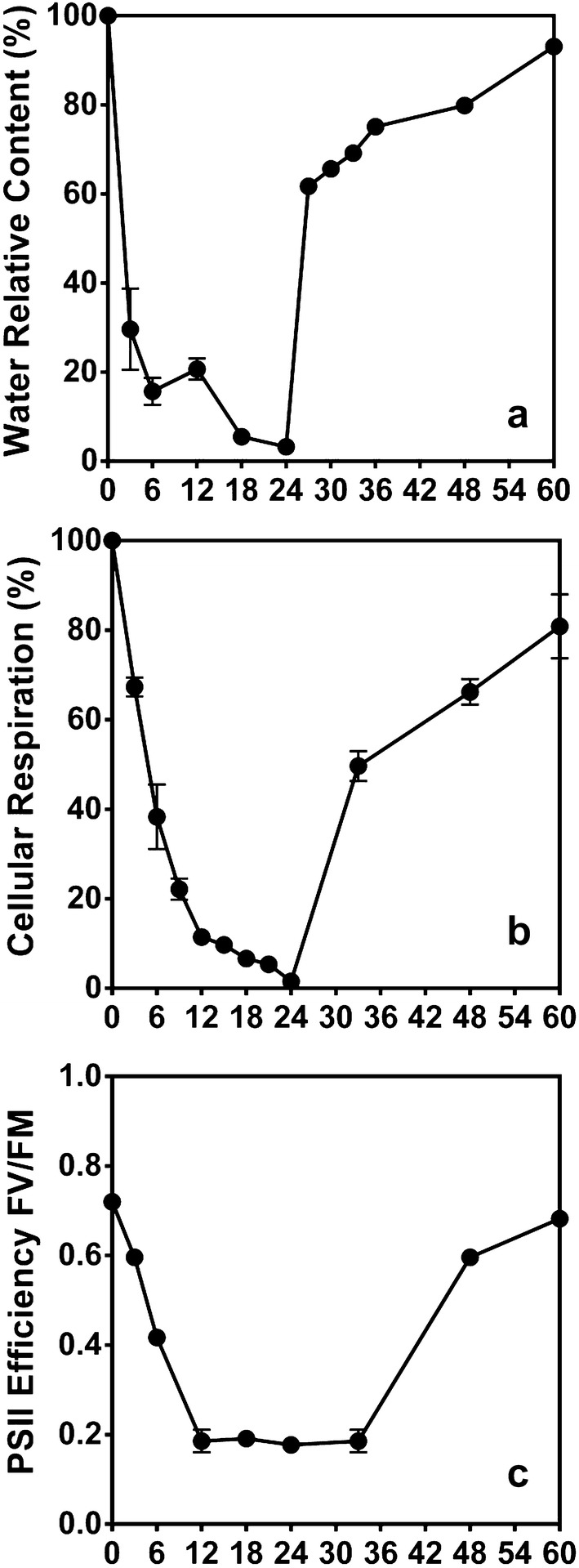 Fig. 2