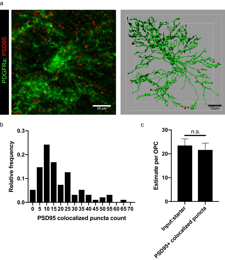 Figure 2—figure supplement 1.