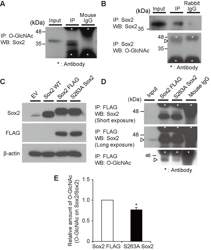 Fig 5