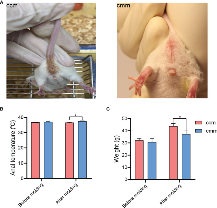 Figure 2