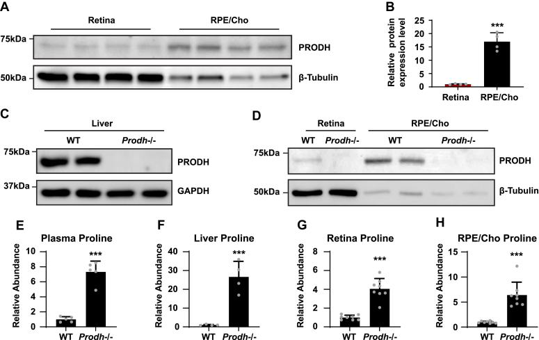 Figure 6