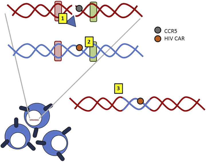 Figure 1