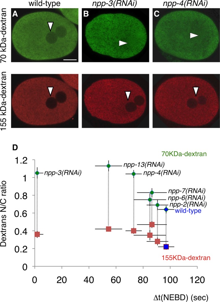 FIGURE 3: