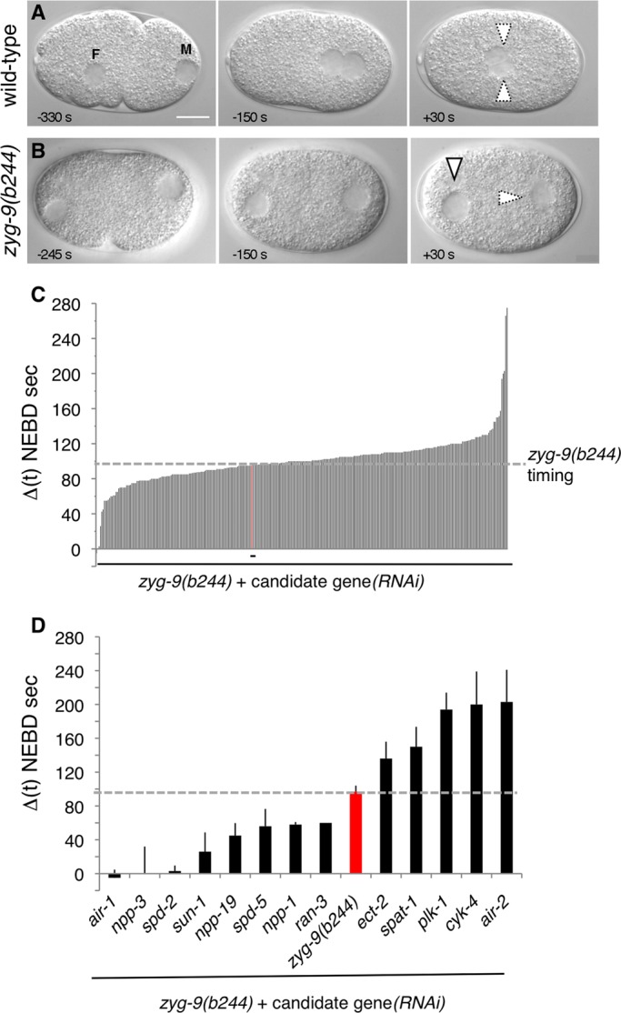 FIGURE 1: