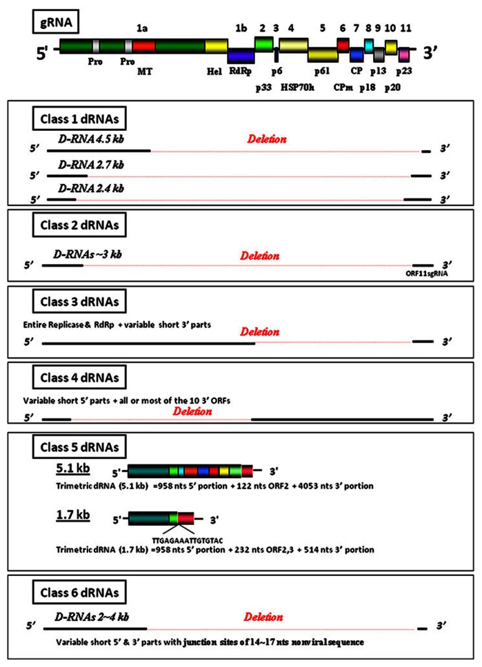 FIGURE 1