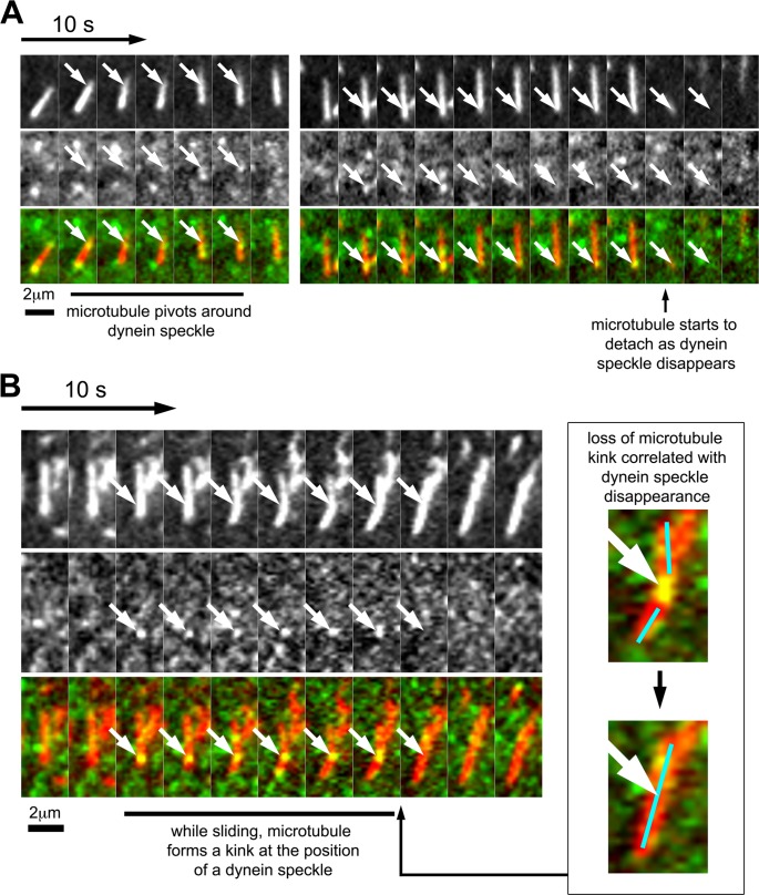 FIGURE 4: