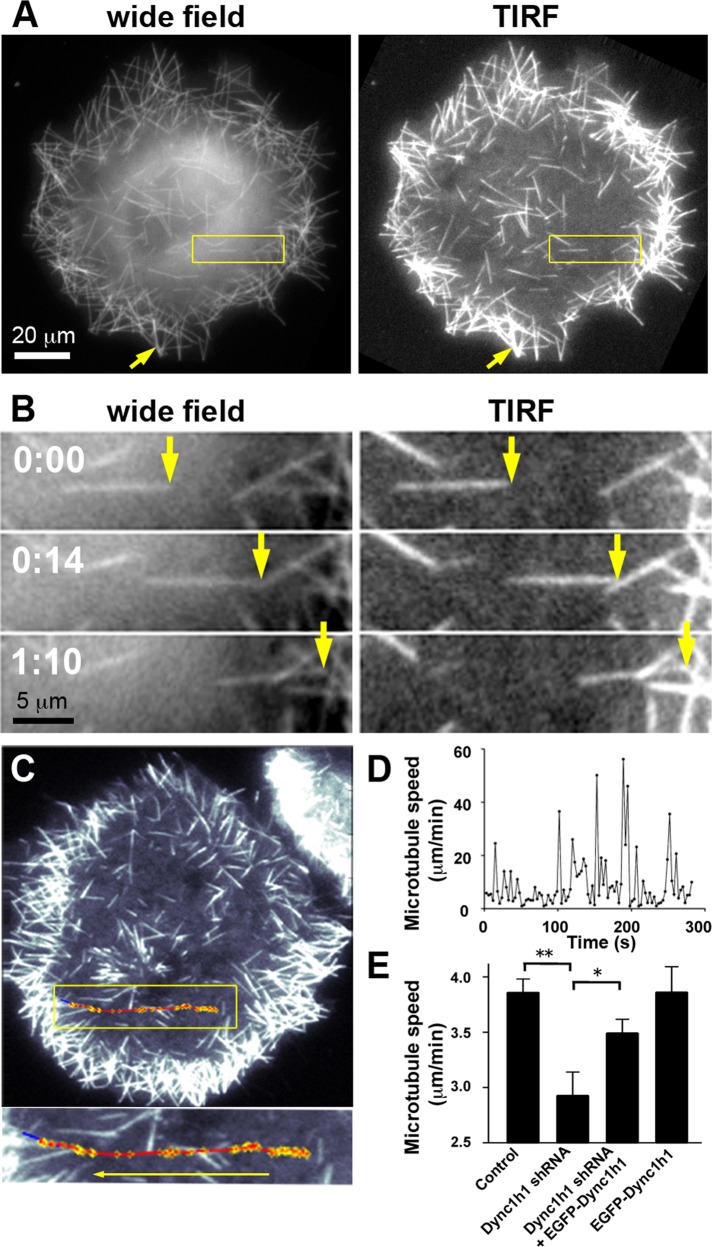 FIGURE 2: