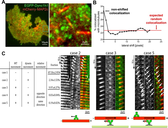 FIGURE 3: