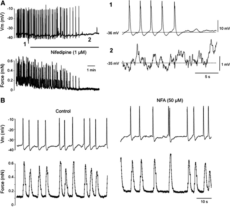 FIG. 2.