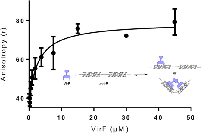 Fig 5